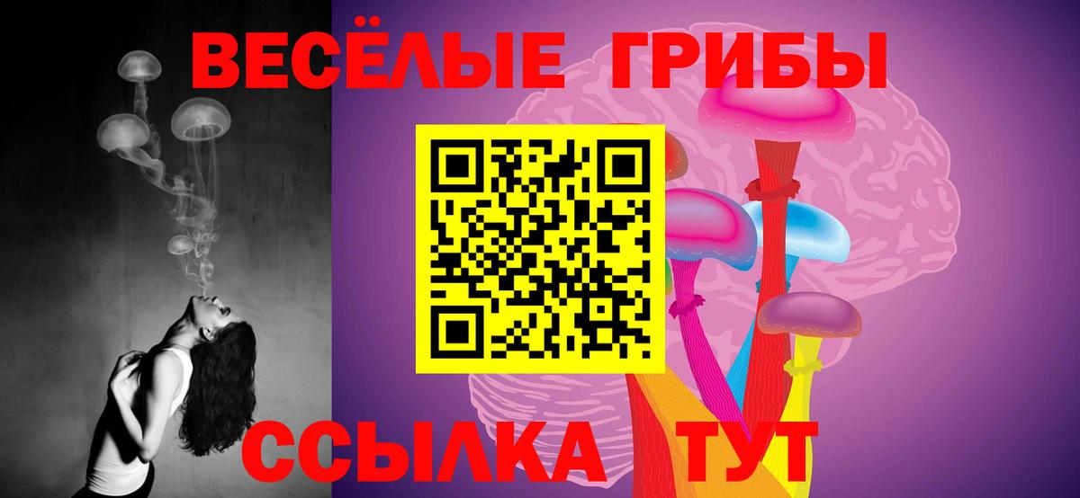 Нальчик  Псилоцибиновые грибы Psilocybe  Вход с VPN 